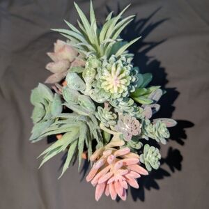 Artificial/Faux Succulents For Home Arrangement - Green and Pink